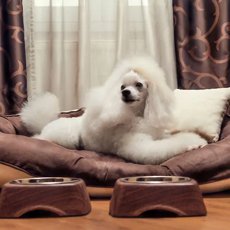 City Residence Apartment Hotel Košice