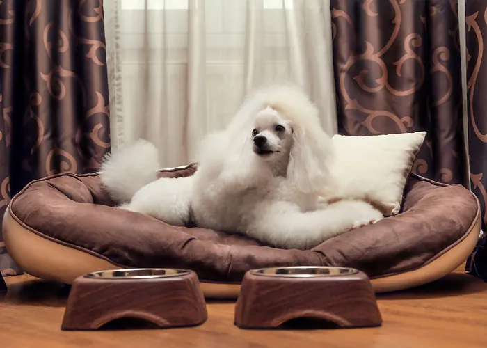 City Residence Apartment Hotel Kosice